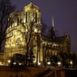 The Cathedral of Notre Dame