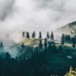 Eco-Friendly Destinations