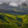 Dzukou Valley