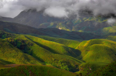 Dzukou Valley