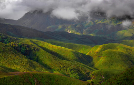 Dzukou Valley