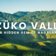 Dzukou Valley