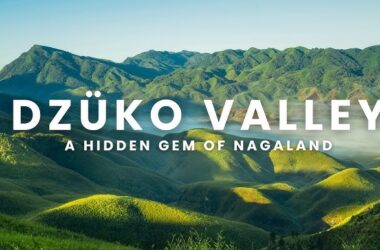 Dzukou Valley