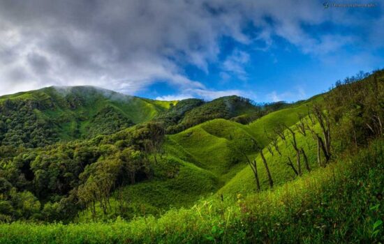 Dzukou Valley Camping