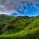 Dzukou Valley Camping