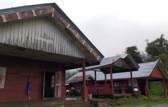 Where to Stay in Dzukou Valley