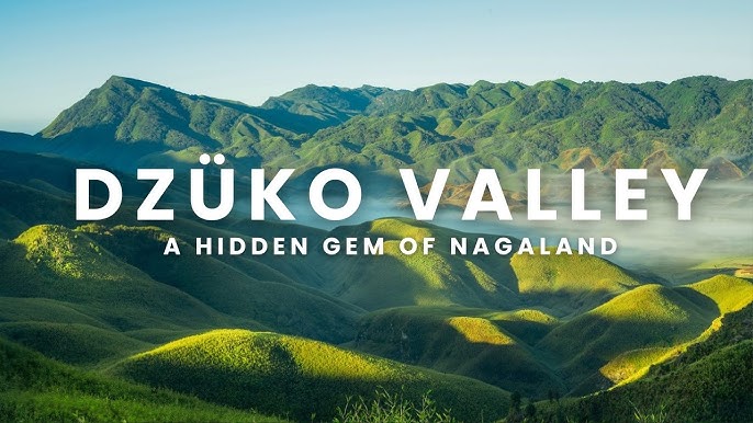 Dzukou Valley